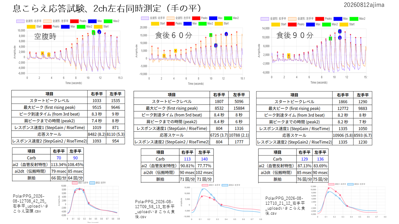 neuro-PPG構想1
