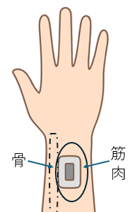 belt type 